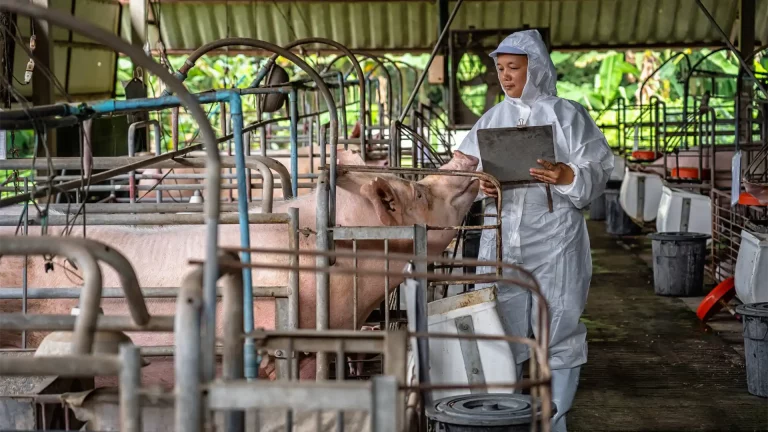 Carne de Cerdo: Mitos y Verdades